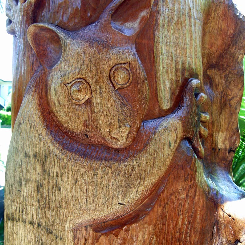 Sandra Skodnik - natural marks of nature are part of the sculpture story